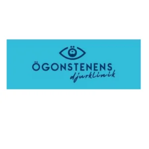 Ögonstenen